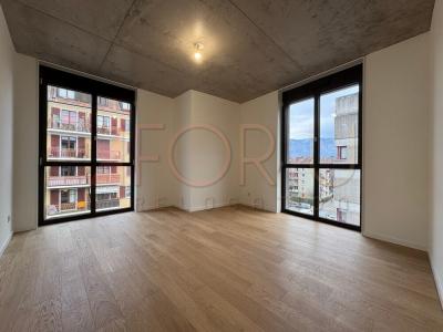 Appartement – carouge – 5 pièce(s)