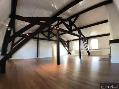 Appartement – Carouge – 7 pièce(s)