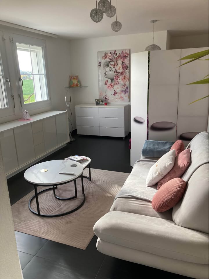 Appartement – Farvany-le-Petit – 1.5 pièce(s)