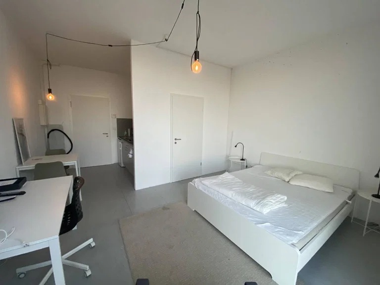 Appartement – Le Mont-sur-Lausanne – 1 pièce(s)