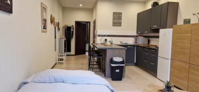 Appartement – Lausanne – 1.5 pièce(s)