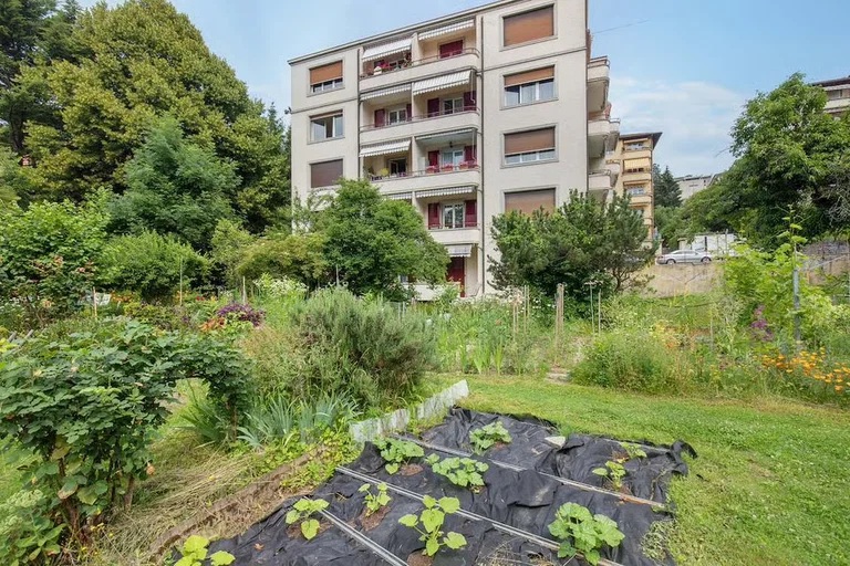 Appartement – Lausanne – 3 pièce(s)